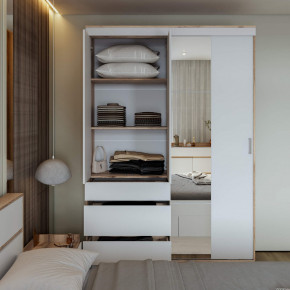 Шкаф-купе Брауни 1.5м в Железногорске - jeleznogorsk.mebelnovo.ru | фото